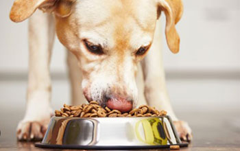 Veterinary-Diet-Food